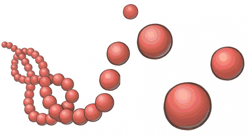Иллюстрация к книге — Ингредиенты. Химия и алхимия гастрономического творчества [i_096.jpg]