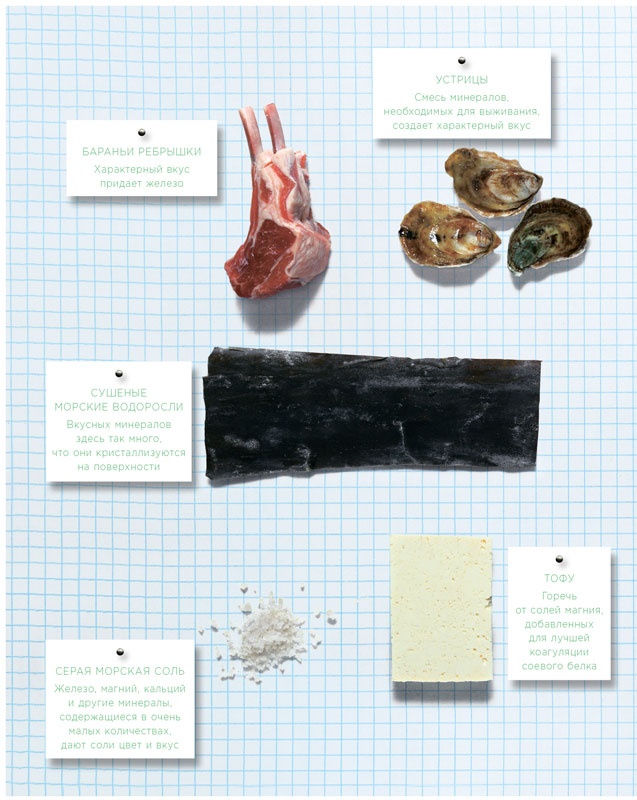 Иллюстрация к книге — Ингредиенты. Химия и алхимия гастрономического творчества [i_101.jpg]