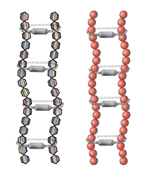 Иллюстрация к книге — Ингредиенты. Химия и алхимия гастрономического творчества [i_103.jpg]