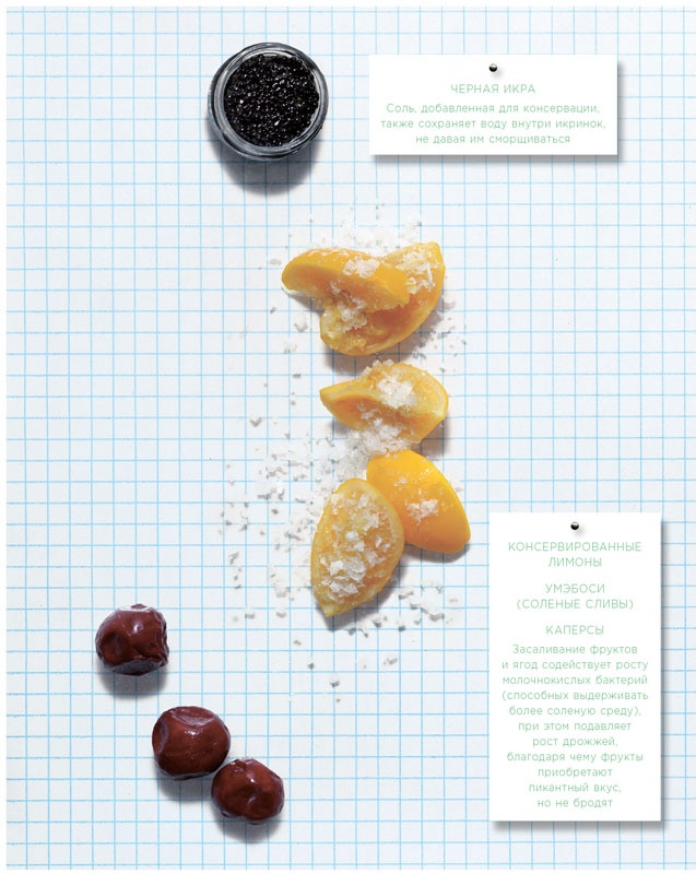 Иллюстрация к книге — Ингредиенты. Химия и алхимия гастрономического творчества [i_107.jpg]