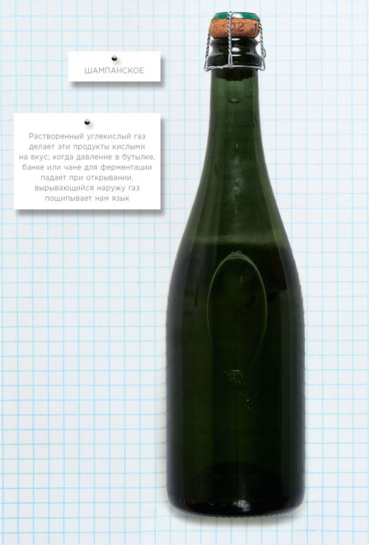 Иллюстрация к книге — Ингредиенты. Химия и алхимия гастрономического творчества [i_114.jpg]