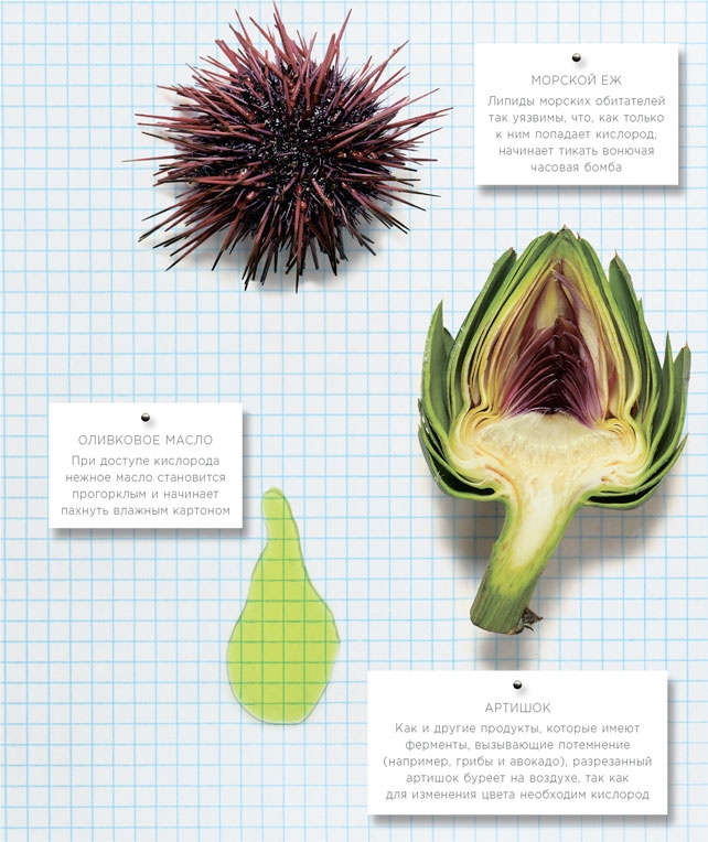 Иллюстрация к книге — Ингредиенты. Химия и алхимия гастрономического творчества [i_120.jpg]