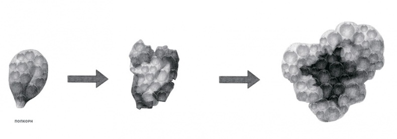 Иллюстрация к книге — Ингредиенты. Химия и алхимия гастрономического творчества [i_122.jpg]