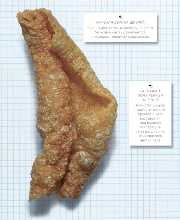 Иллюстрация к книге — Ингредиенты. Химия и алхимия гастрономического творчества [i_123.jpg]