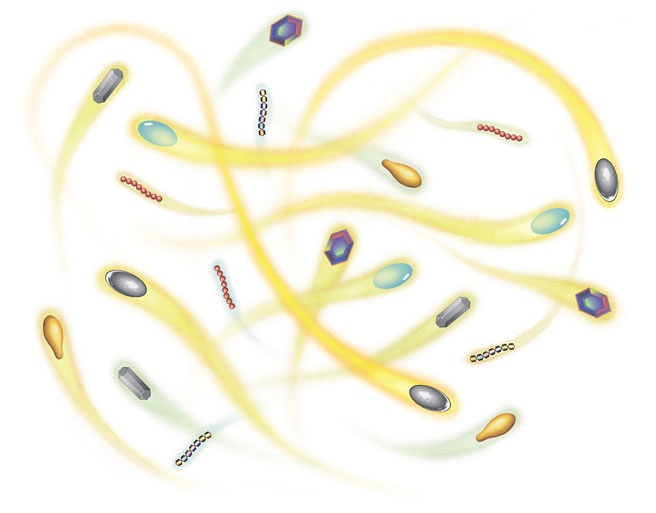 Иллюстрация к книге — Ингредиенты. Химия и алхимия гастрономического творчества [i_126.jpg]