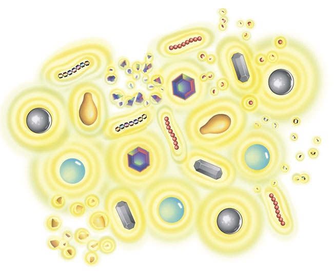 Иллюстрация к книге — Ингредиенты. Химия и алхимия гастрономического творчества [i_129.jpg]