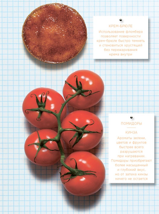 Иллюстрация к книге — Ингредиенты. Химия и алхимия гастрономического творчества [i_130.jpg]