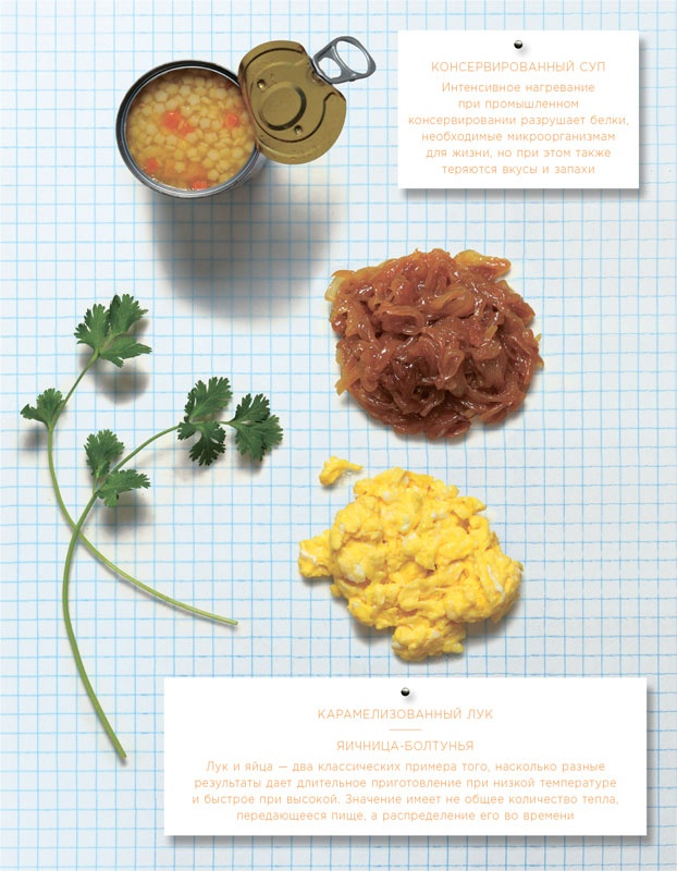 Иллюстрация к книге — Ингредиенты. Химия и алхимия гастрономического творчества [i_131.jpg]