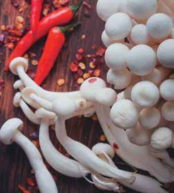 Иллюстрация к книге — Кулинарная энциклопедия. Том 40. Ц – Я (Цыпленок – Ячмень) [_58.jpg]