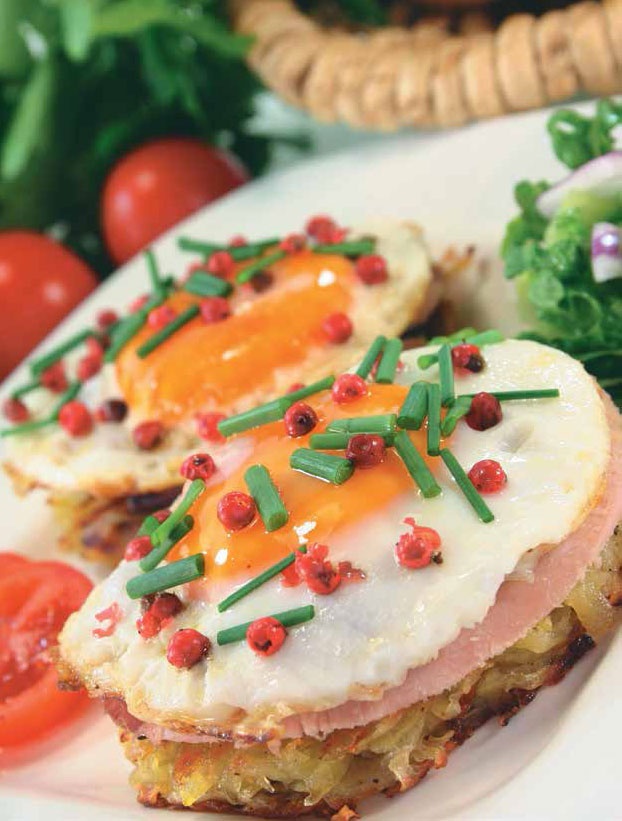 Иллюстрация к книге — Кулинарная энциклопедия. Том 39. Х – Ц (Халтура – Цукини) [_20.jpg]