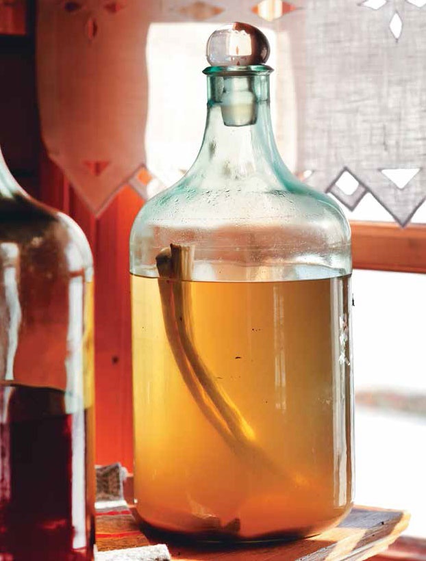 Иллюстрация к книге — Кулинарная энциклопедия. Том 39. Х – Ц (Халтура – Цукини) [_55.jpg]