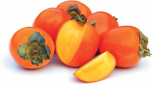 Иллюстрация к книге — Кулинарная энциклопедия. Том 39. Х – Ц (Халтура – Цукини) [_60.jpg]