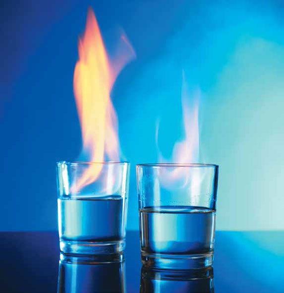 Иллюстрация к книге — Кулинарная энциклопедия. Том 38. Ф – Х (Финокки – Халва) [_22.jpg]