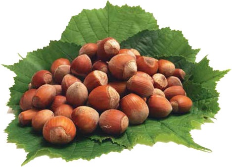 Иллюстрация к книге — Кулинарная энциклопедия. Том 38. Ф – Х (Финокки – Халва) [_84.jpg]