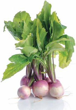 Иллюстрация к книге — Кулинарная энциклопедия. Том 37. Т – Ф (Тунец – Фасолица) [_13.jpg]