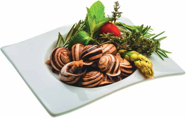 Иллюстрация к книге — Кулинарная энциклопедия. Том 37. Т – Ф (Тунец – Фасолица) [_57.jpg]