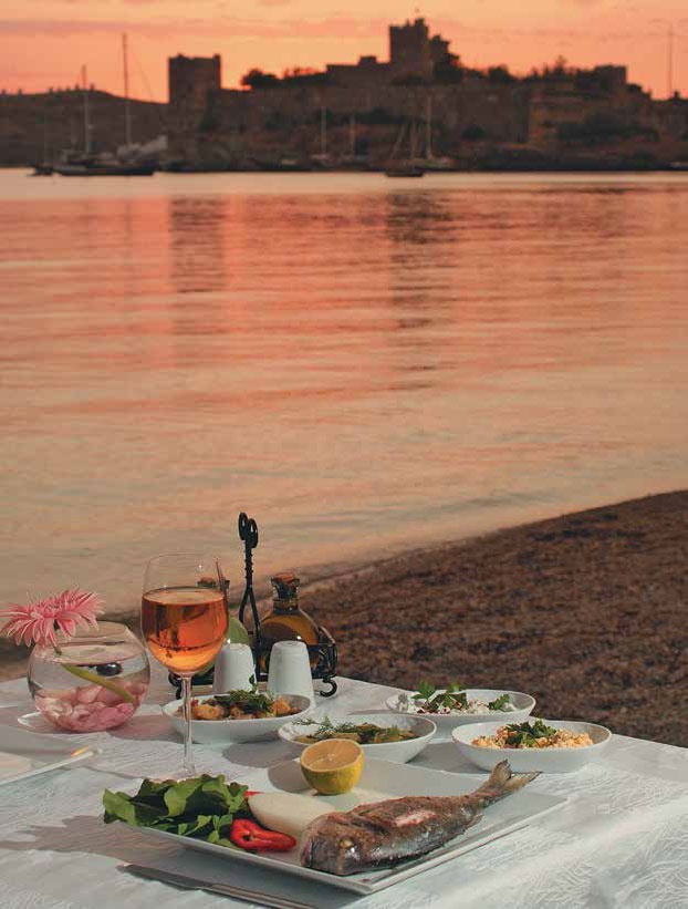 Иллюстрация к книге — Кулинарная энциклопедия. Том 37. Т – Ф (Тунец – Фасолица) [_9.jpg]