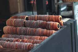 Иллюстрация к книге — Кулинарная энциклопедия. Том 36. Т (Тахина – Тулумба) [_92.jpg]