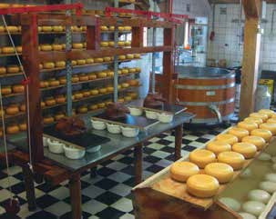 Иллюстрация к книге — Кулинарная энциклопедия. Том 35. С – Т (Судак – Тафельшпиц) [_41.jpg]