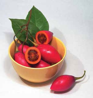 Иллюстрация к книге — Кулинарная энциклопедия. Том 35. С – Т (Судак – Тафельшпиц) [_78.jpg]