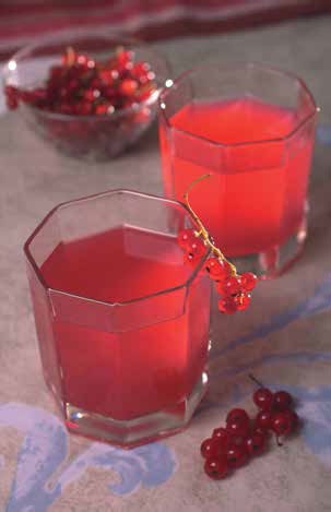 Иллюстрация к книге — Кулинарная энциклопедия. Том 34. С (Сливки – Сугудай) [_24.jpg]