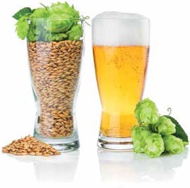 Иллюстрация к книге — Кулинарная энциклопедия. Том 34. С (Сливки – Сугудай) [_41.jpg]