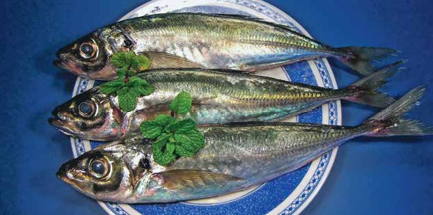 Иллюстрация к книге — Кулинарная энциклопедия. Том 34. С (Сливки – Сугудай) [_78.jpg]