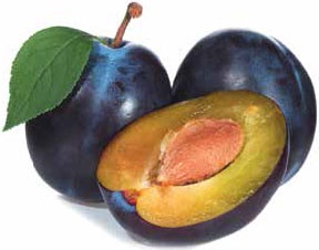 Иллюстрация к книге — Кулинарная энциклопедия. Том 33. С (Саор – Слива) [_106.jpg]