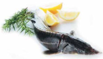 Иллюстрация к книге — Кулинарная энциклопедия. Том 33. С (Саор – Слива) [_39.jpg]