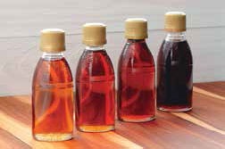 Иллюстрация к книге — Кулинарная энциклопедия. Том 33. С (Саор – Слива) [_76.jpg]