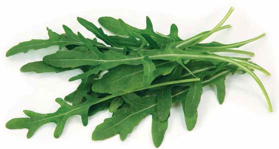 Иллюстрация к книге — Кулинарная энциклопедия. Том 32. Р-С (Рольмопс – Сандей) [_19.jpg]