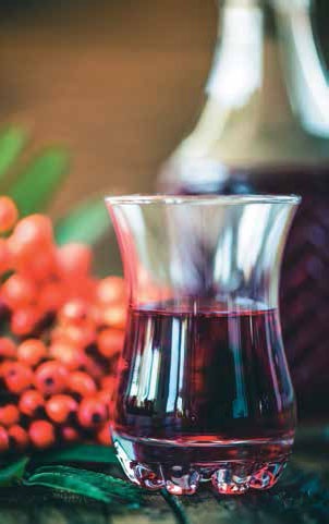 Иллюстрация к книге — Кулинарная энциклопедия. Том 32. Р-С (Рольмопс – Сандей) [_42.jpg]