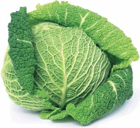 Иллюстрация к книге — Кулинарная энциклопедия. Том 32. Р-С (Рольмопс – Сандей) [_51.jpg]