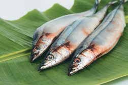 Иллюстрация к книге — Кулинарная энциклопедия. Том 32. Р-С (Рольмопс – Сандей) [_63.jpg]