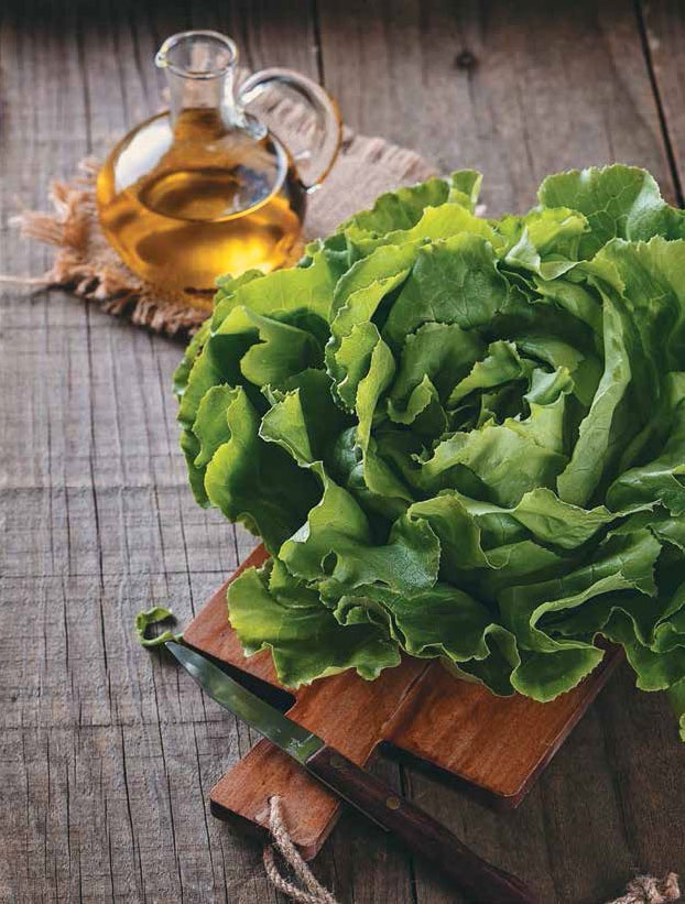 Иллюстрация к книге — Кулинарная энциклопедия. Том 32. Р-С (Рольмопс – Сандей) [_72.jpg]