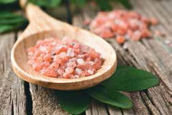 Иллюстрация к книге — Кулинарная энциклопедия. Том 31. Р (Ражничи – Ролл) [_101.jpg]