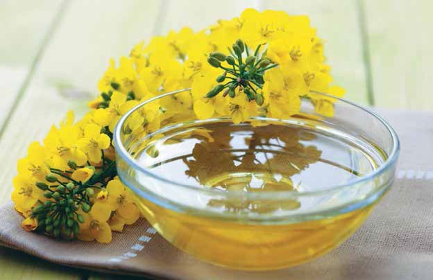 Иллюстрация к книге — Кулинарная энциклопедия. Том 31. Р (Ражничи – Ролл) [_17.jpg]