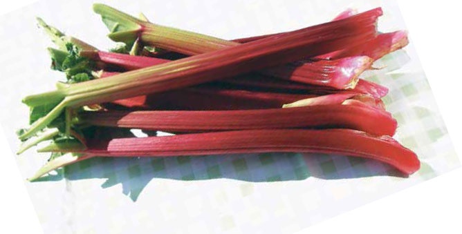 Иллюстрация к книге — Кулинарная энциклопедия. Том 31. Р (Ражничи – Ролл) [_28.jpg]