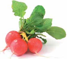 Иллюстрация к книге — Кулинарная энциклопедия. Том 31. Р (Ражничи – Ролл) [_31.jpg]