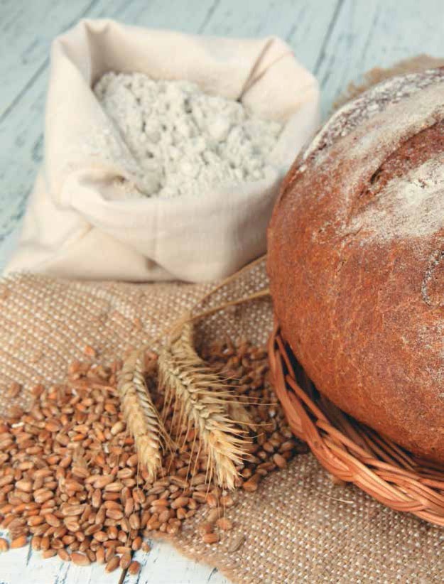 Иллюстрация к книге — Кулинарная энциклопедия. Том 31. Р (Ражничи – Ролл) [_52.jpg]