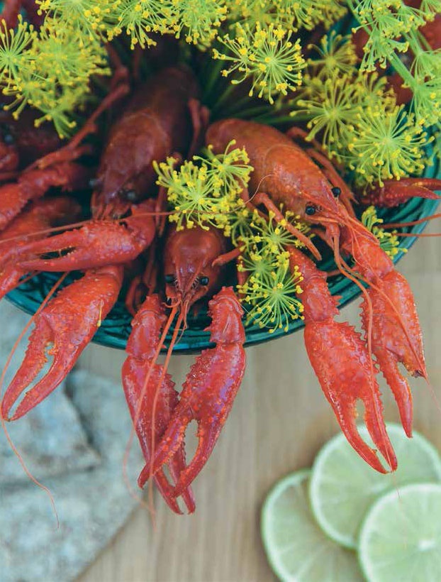 Иллюстрация к книге — Кулинарная энциклопедия. Том 31. Р (Ражничи – Ролл) [_7.jpg]