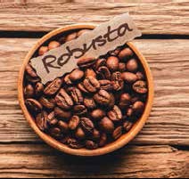 Иллюстрация к книге — Кулинарная энциклопедия. Том 31. Р (Ражничи – Ролл) [_90.jpg]