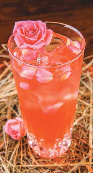 Иллюстрация к книге — Кулинарная энциклопедия. Том 31. Р (Ражничи – Ролл) [_98.jpg]