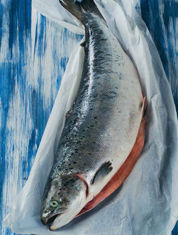 Иллюстрация к книге — Кулинарная энциклопедия. Том 30. П-Р (Поросёнок – Радиккьо) [_16.jpg]