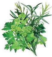 Иллюстрация к книге — Кулинарная энциклопедия. Том 30. П-Р (Поросёнок – Радиккьо) [_36.jpg]