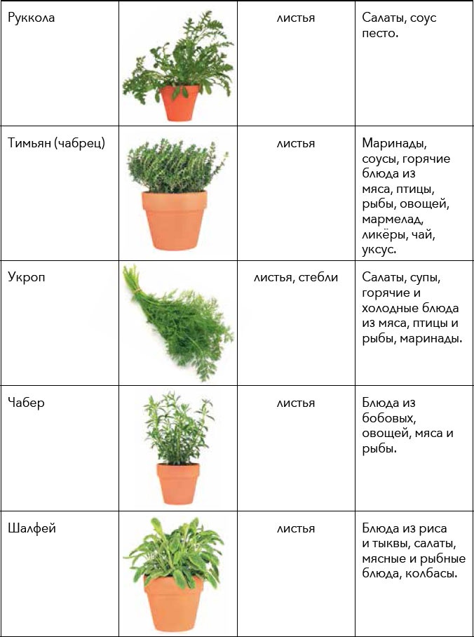 Иллюстрация к книге — Кулинарная энциклопедия. Том 30. П-Р (Поросёнок – Радиккьо) [_51.jpg]