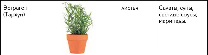 Иллюстрация к книге — Кулинарная энциклопедия. Том 30. П-Р (Поросёнок – Радиккьо) [_52.jpg]