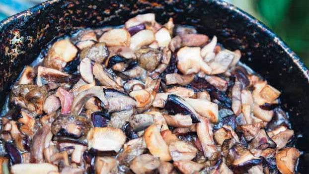 Иллюстрация к книге — Кулинарная энциклопедия. Том 29. П (Пита – Попьет) [_39.jpg]