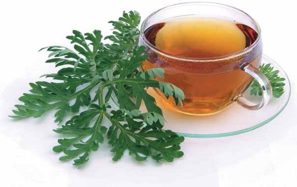 Иллюстрация к книге — Кулинарная энциклопедия. Том 29. П (Пита – Попьет) [_63.jpg]