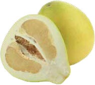 Иллюстрация к книге — Кулинарная энциклопедия. Том 29. П (Пита – Попьет) [_74.jpg]